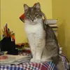 Отзыв от Аня Корнилова